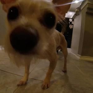 Meet your Posher, Patrick